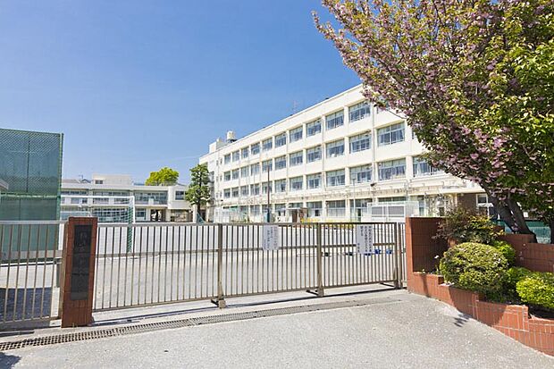 横浜市立中沢小学校（約140m）