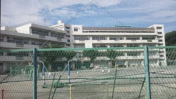 横浜市立大鳥小学校（約650m）