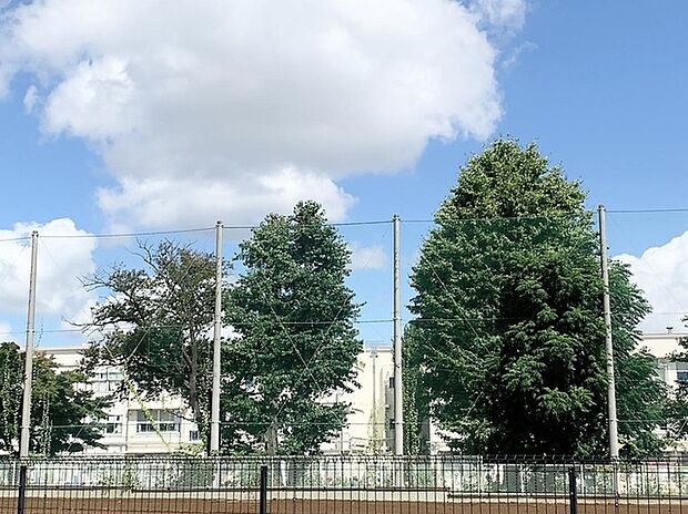 横浜市立高田小学校(約400m)