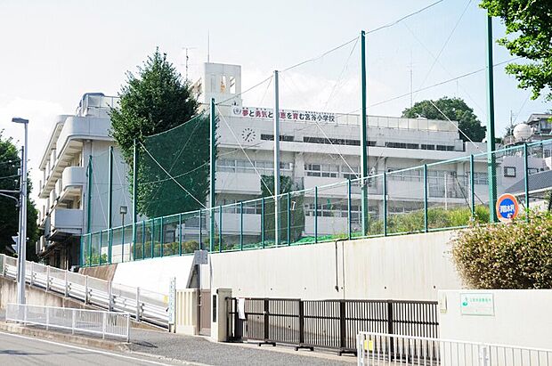 横浜市立宮谷小学校(約500m)