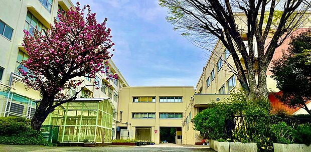 横浜市立馬場小学校(約970m)