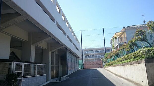 横浜市立岩崎中学校(約1,100m)