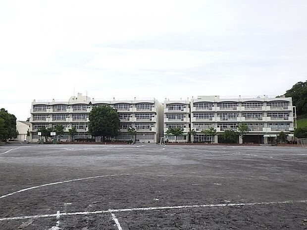 横浜市立奈良中学校（約3,000m）