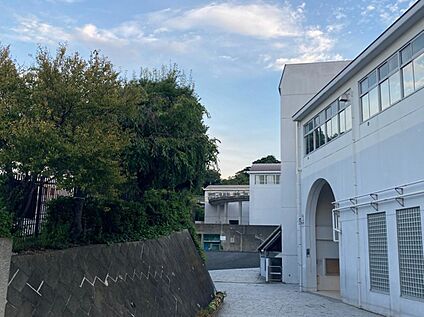 横浜市立本牧中学校 980ｍ