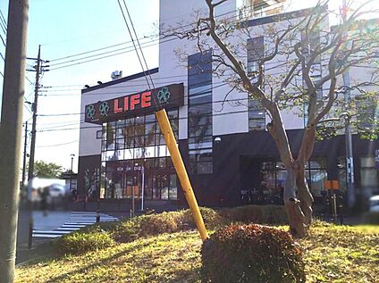 ライフ東有馬店 900ｍ