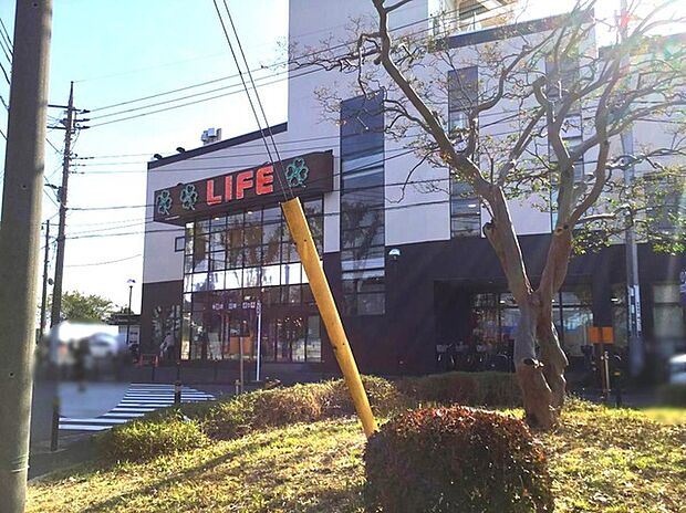 ライフ東有馬店(約900m)