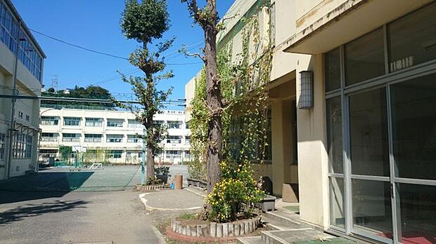 横浜市立星川小学校（約490m）