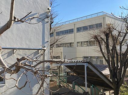 横浜市立松本中学校 490ｍ