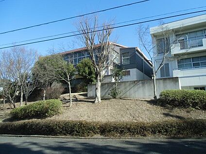 横浜市立新田小学校 1600ｍ