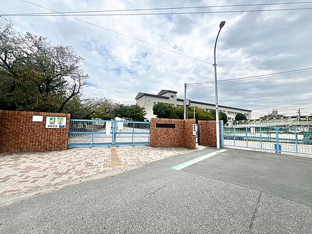 堺市立浜寺中学校(約500m)