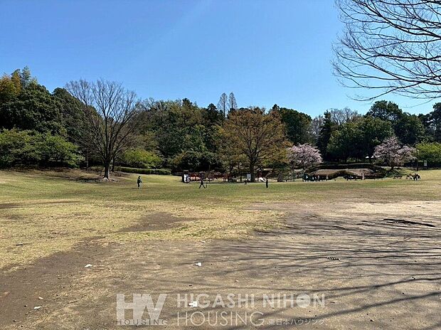 王禅寺ふるさと公園(約260m)