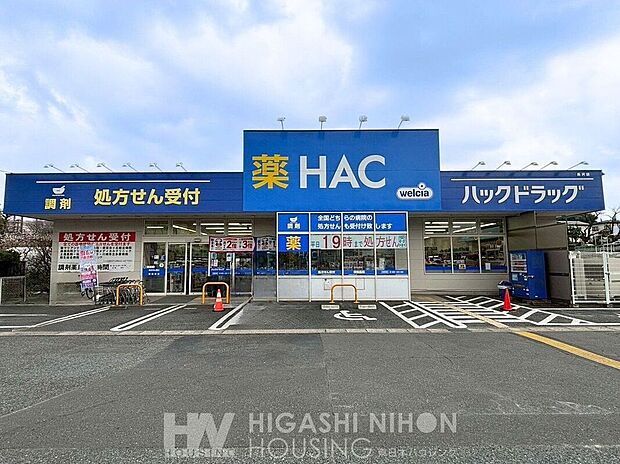 ハックドラッグ長沢店(約760m)