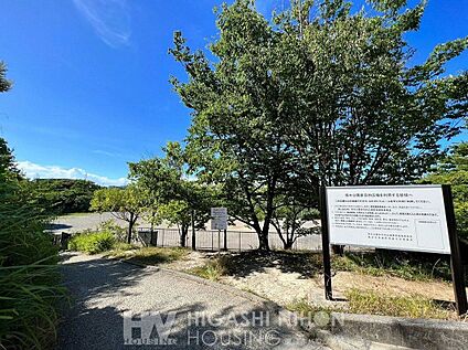 保木公園 90m