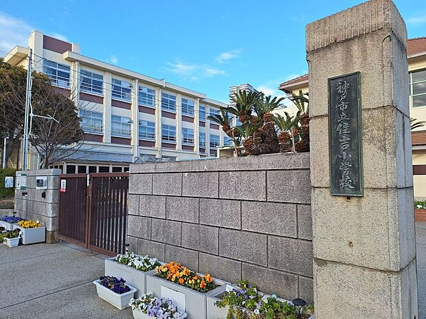 神戸市立住吉小学校（約710m）