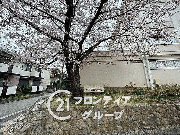 芦屋市立精道中学校(約280m)