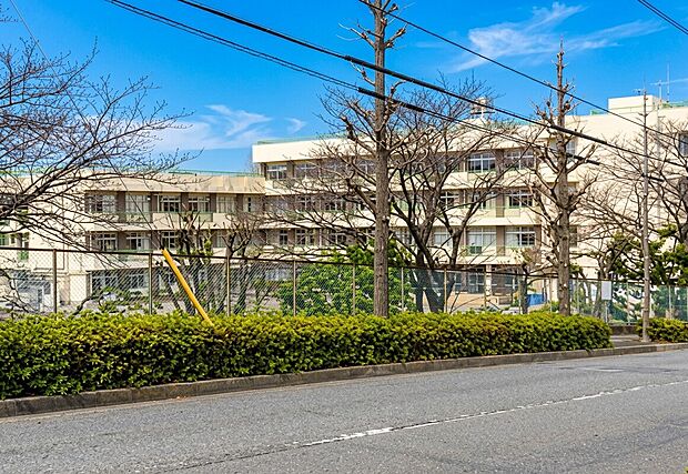 町田市立山崎小学校（約900m）