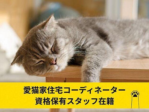 【愛猫住宅コーディネーター資格保有スタッフがおります】愛猫と住みやすい家の事ならお気軽にご相談ください♪