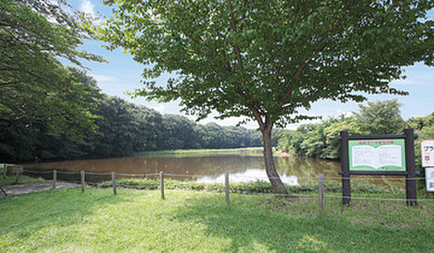 鶴田沼緑地　徒歩約2～4分（約120ｍ～250m）
宮環近くとは思えない静けさ。緑のトンネルを抜けると広がる沼と湿原、雑木林に包まれた市街地の中の貴重な自然環境。