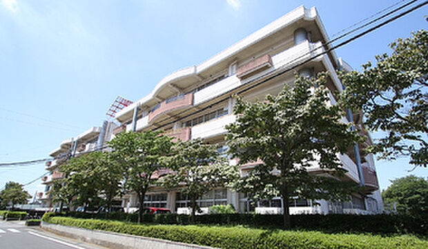 富士見小学校：徒歩約7分（約500m～550m）
徒歩圏内で通学できる安心の距離。
毎日の登下校の負担が少なく、保護者の方にも安心の子育て環境です。