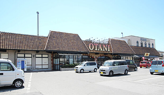 フードオアシスOTANI 戸祭店：徒歩約9分（約700m～710m）
新鮮な生鮮食品や豊富な品揃えで、地域の暮らしを支えるスーパーが身近。