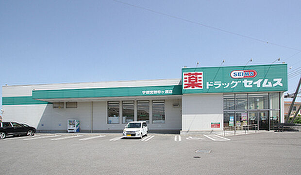 ドラックセイムス