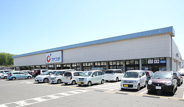 カワチ薬品 戸祭北店