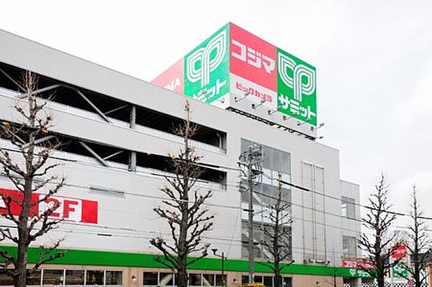 サミットストア 善福寺店（約729m）