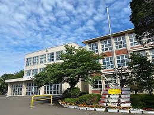 千歳中学校(約738m)