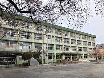 練馬区立練馬第二小学校 589m