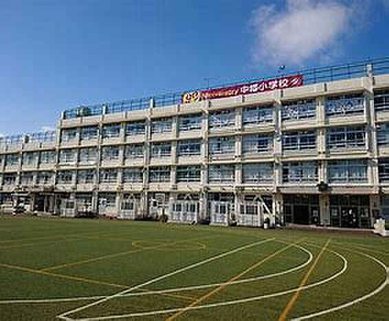 渋谷区立中幡小学校(約474m)