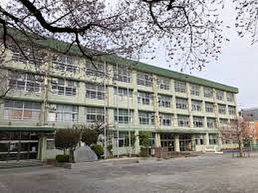練馬区立練馬第二小学校（約738m）