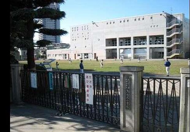 世田谷区立烏山北小学校（約449m）