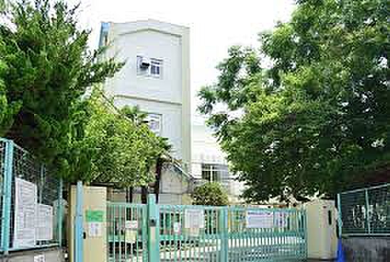 杉並区立西田小学校(約898m)