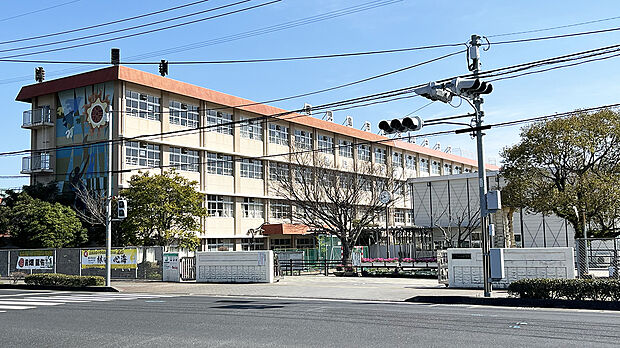 谷山中学校（約1m・徒歩20分）