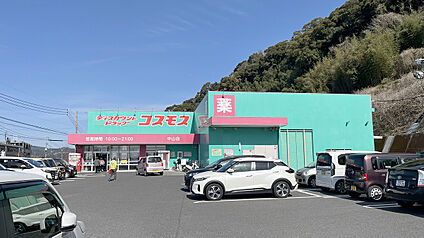 ドラッグストアコスモス中山店 850m(徒歩14分)