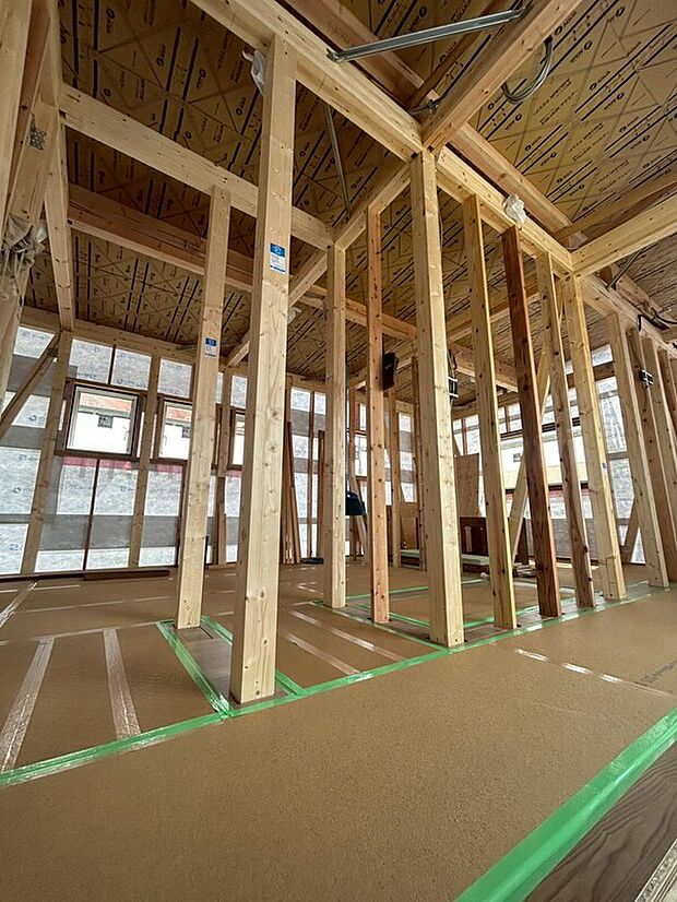 【2026年4月撮影】2026年4月撮影