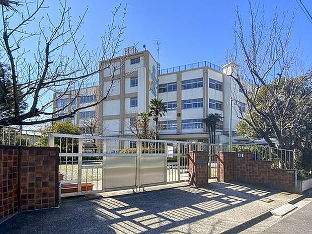 足立区立青井小学校（約270m）