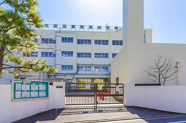 足立区立栗原北小学校（約850m）