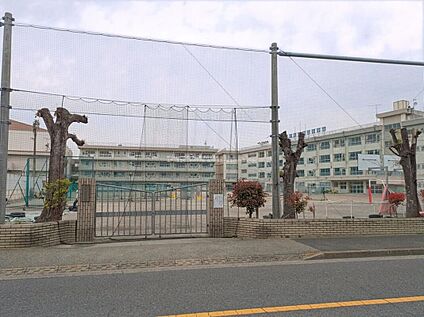 江戸川区立松江第四中学校 400m(徒歩5分)