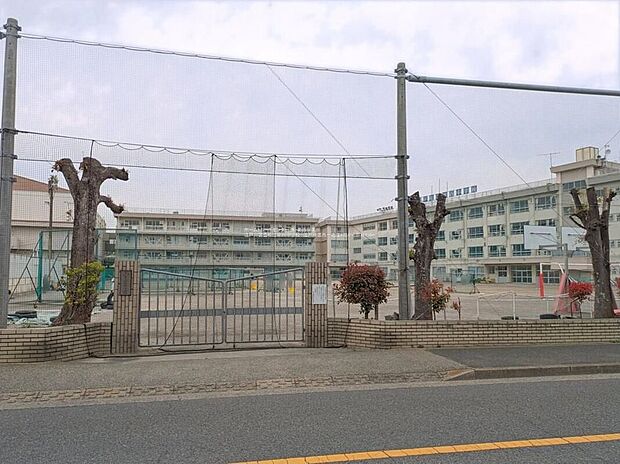 江戸川区立松江第四中学校（約400m）