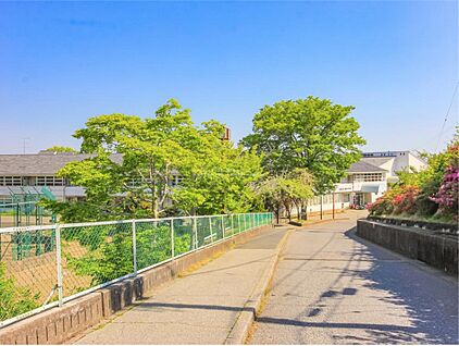 成田市立成田中学校 800m(徒歩10分)