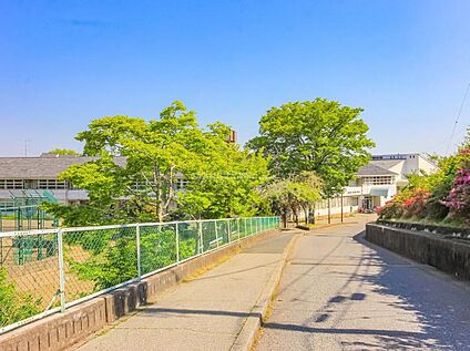 成田市立成田中学校 1500ｍ(徒歩19分)