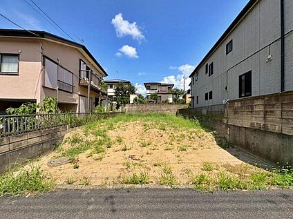 現地写真