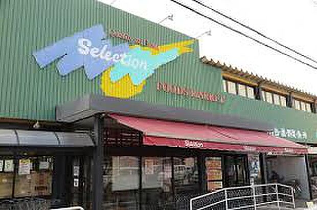 セレクション三郷店(約1,056m)