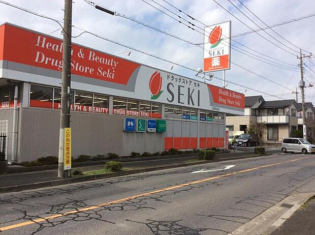 セキ薬品 八潮中央店(約183m)