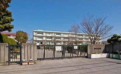 三郷市立鷹野小学校 546ｍ(徒歩7分)