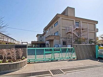三郷市立南中学校 460ｍ(徒歩6分)