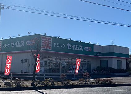 セイムスあきる野小川店 500m(7分)