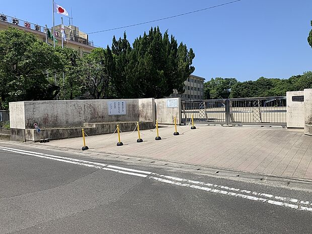 桜丘西小学校（約595m・徒歩8分）