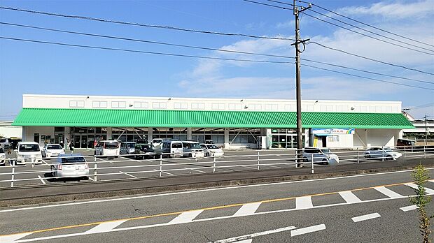タイヨー喜入店（約840m）